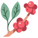 Lorem Ipsum